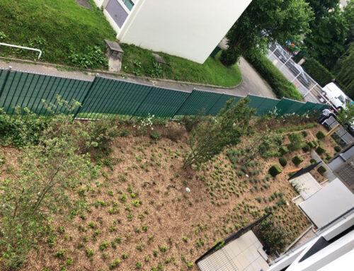 Intervention espaces verts 2