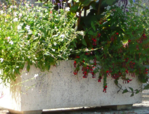 Intervention espaces verts 3